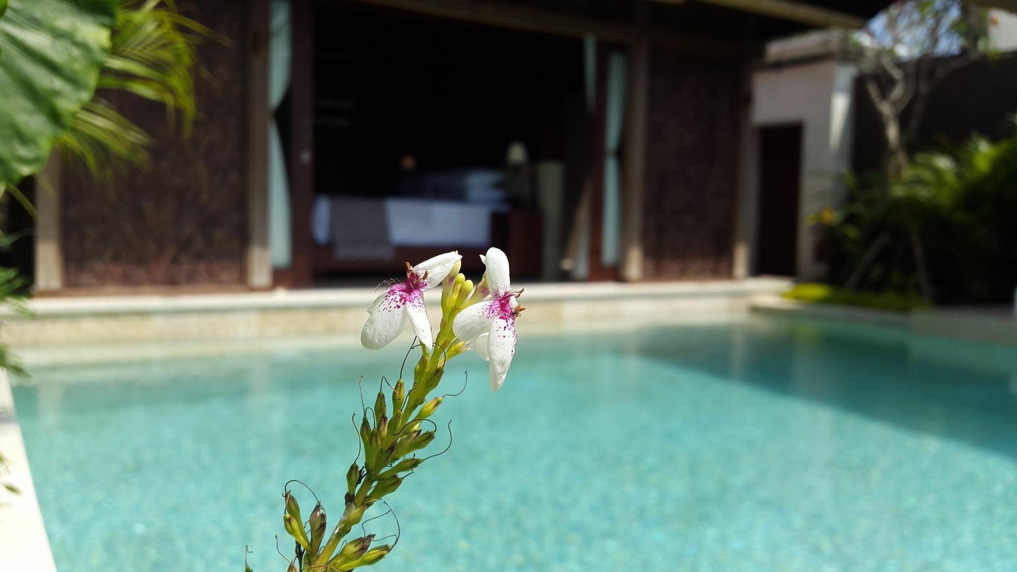 Sukawati Sri Abi Ratu Villas מראה חיצוני תמונה